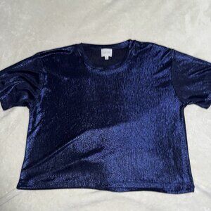 Johnny Was Jade Andi Oversized Tee Metallic Sapphire Blue Size Small